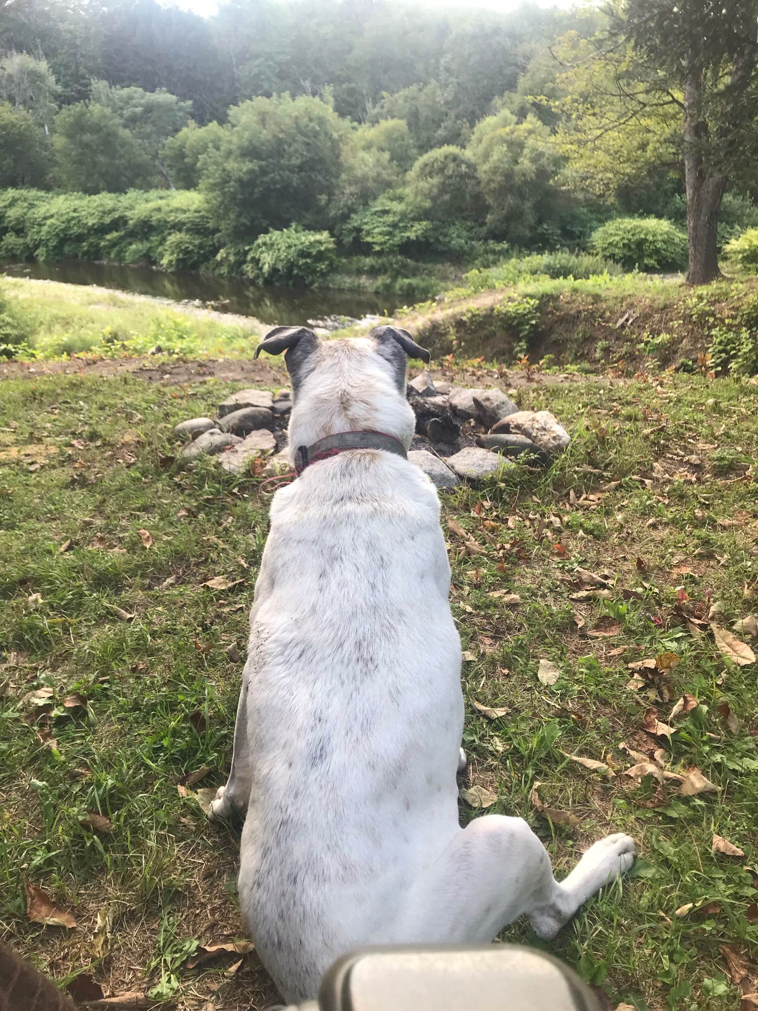 Camper-submitted photo at Brookside RV Camping (Electric hookup only) near Barre, VT