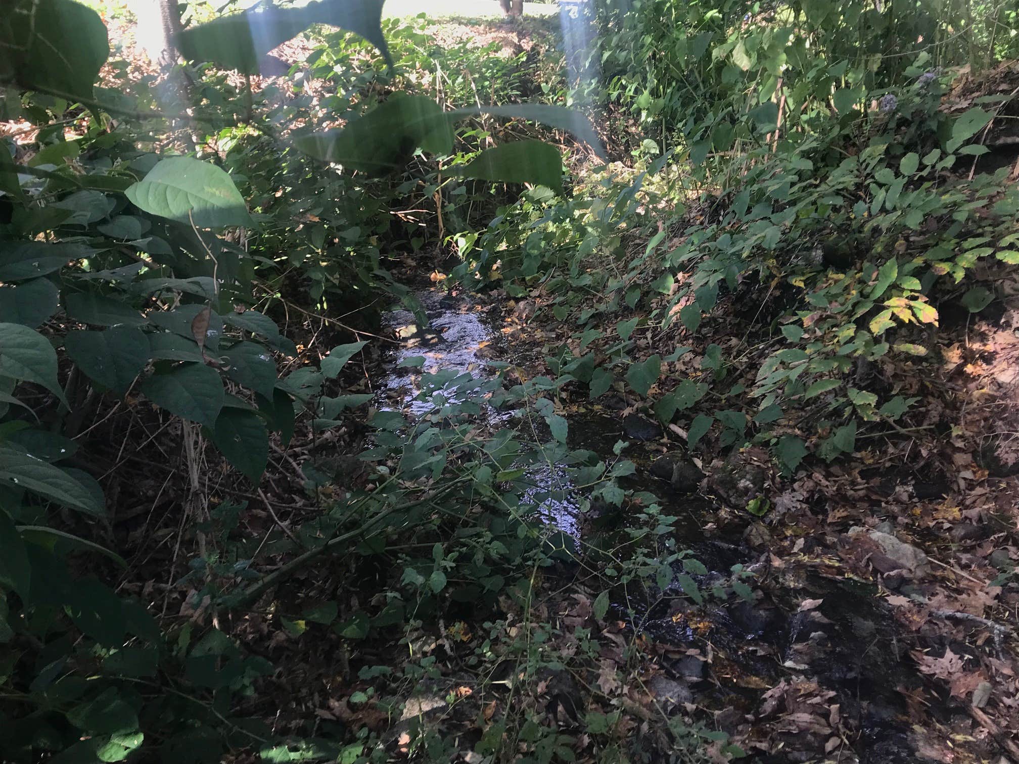 Camper-submitted photo at Brookside RV Camping (Electric hookup only) near Barre, VT