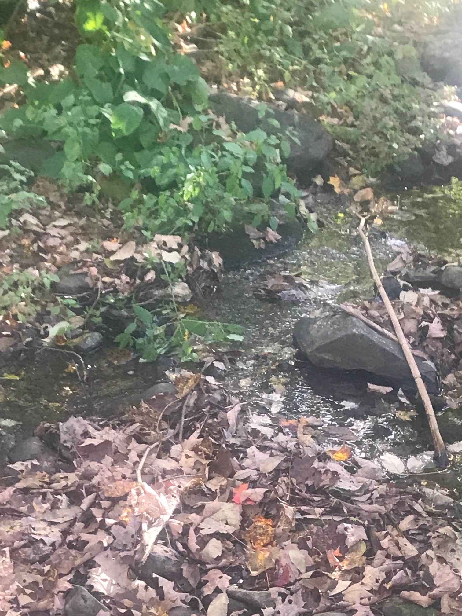 Camper-submitted photo at Brookside RV Camping (Electric hookup only) near Barre, VT