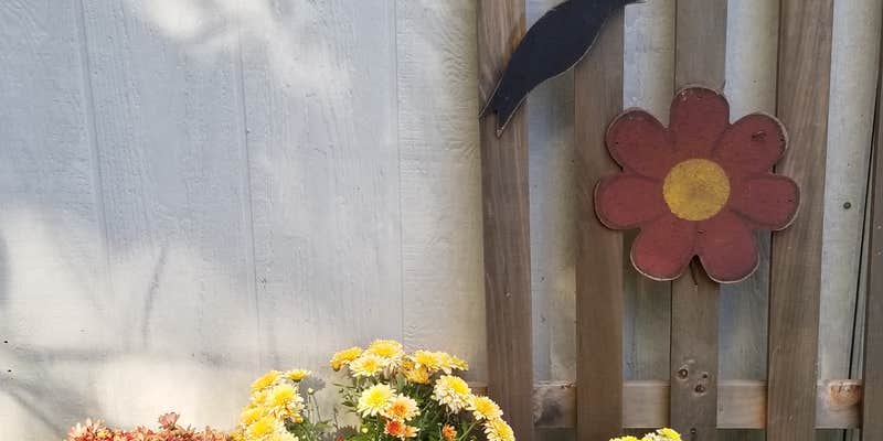 Camper submitted image from CAMP73ROCKST☆R