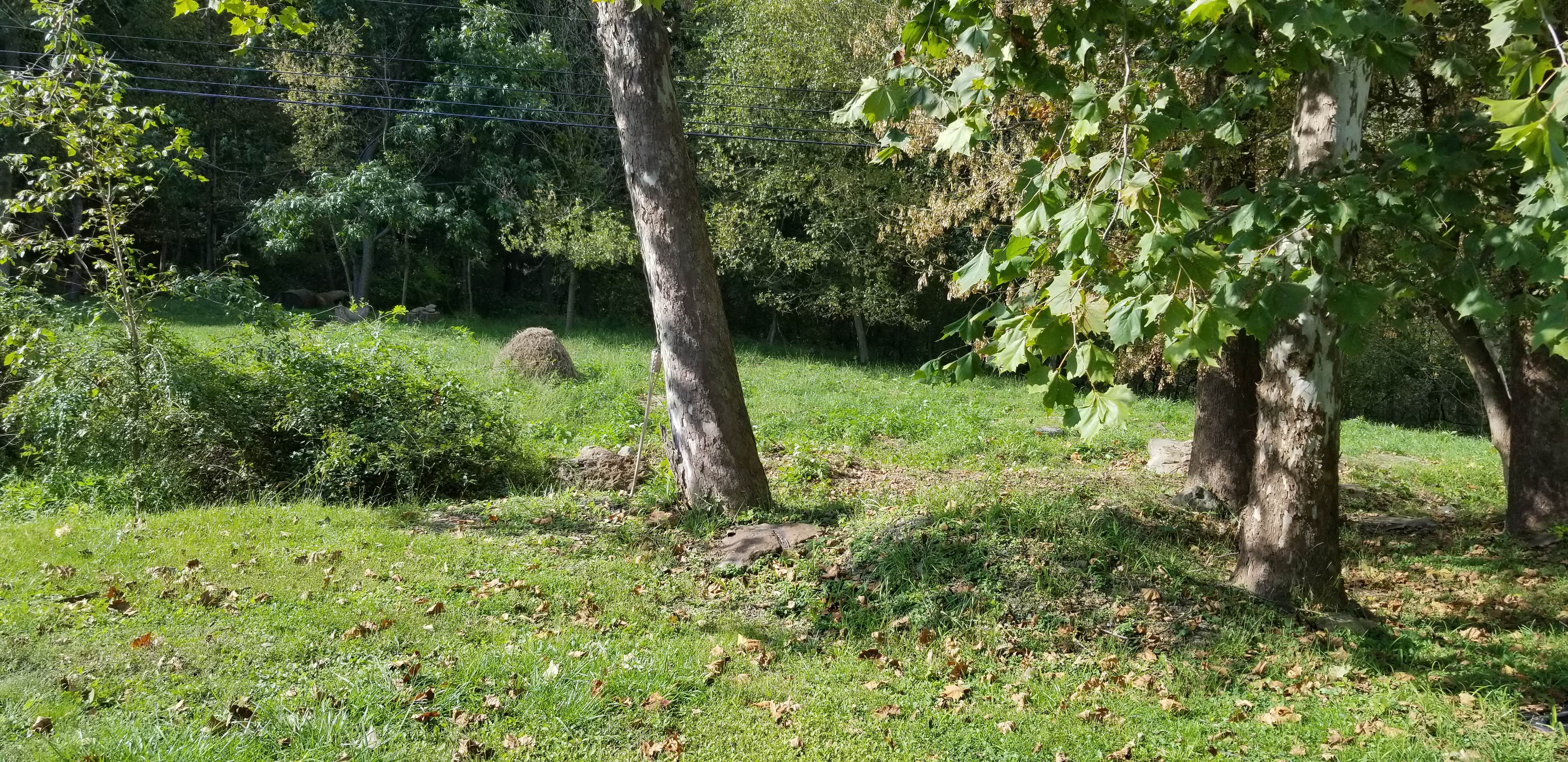 Camper-submitted photo at CAMP73ROCKST☆R near Accident, MD