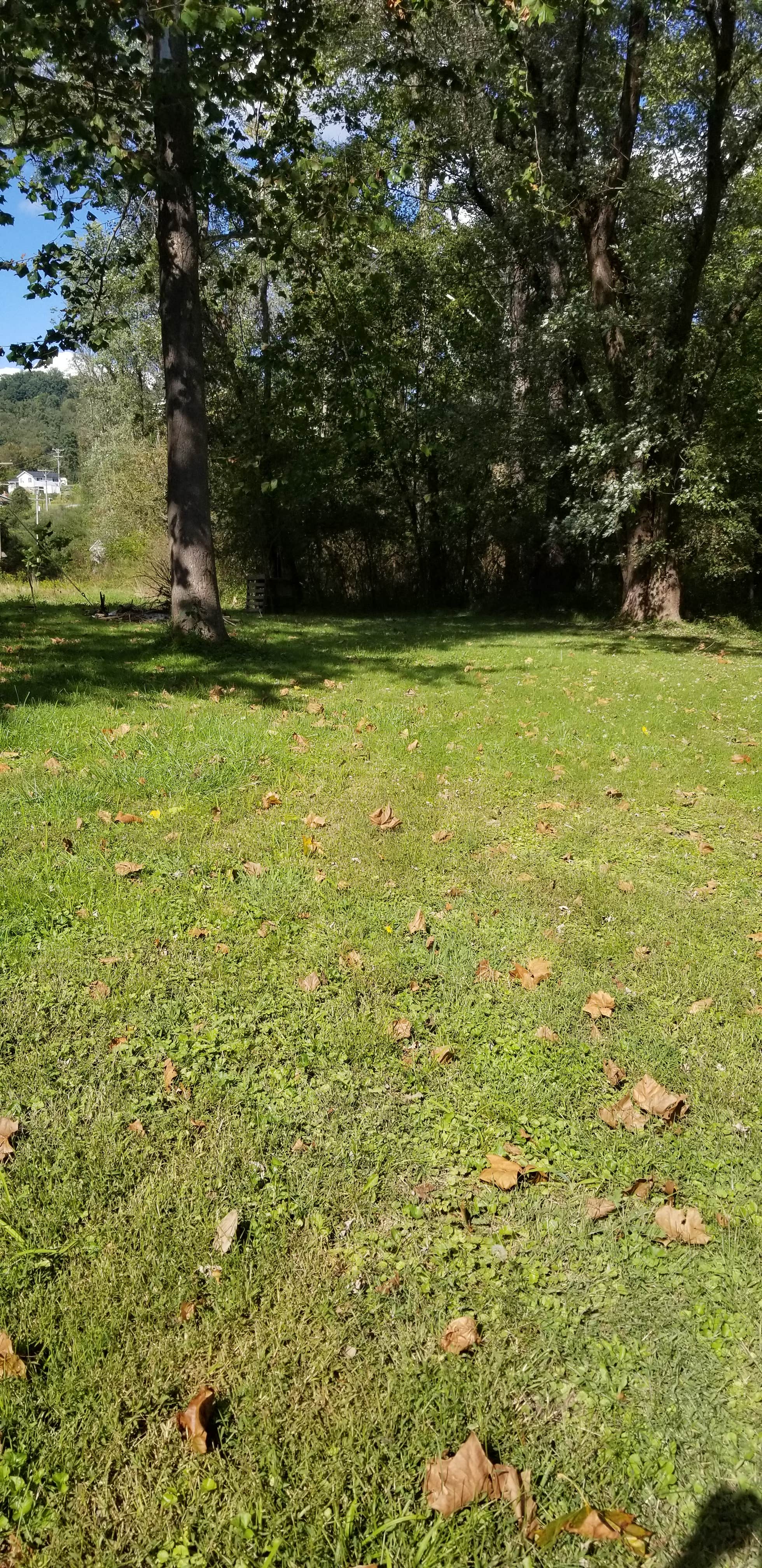 Camper-submitted photo at CAMP73ROCKST☆R near Fairmont, WV