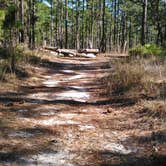 Review photo of Clearwater Lake Campground by Ellen E., August 6, 2016