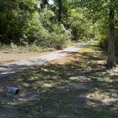 Review photo of Saracen Trace RV Park - Pine Bluff Regional Park by Steve S., October 8, 2022