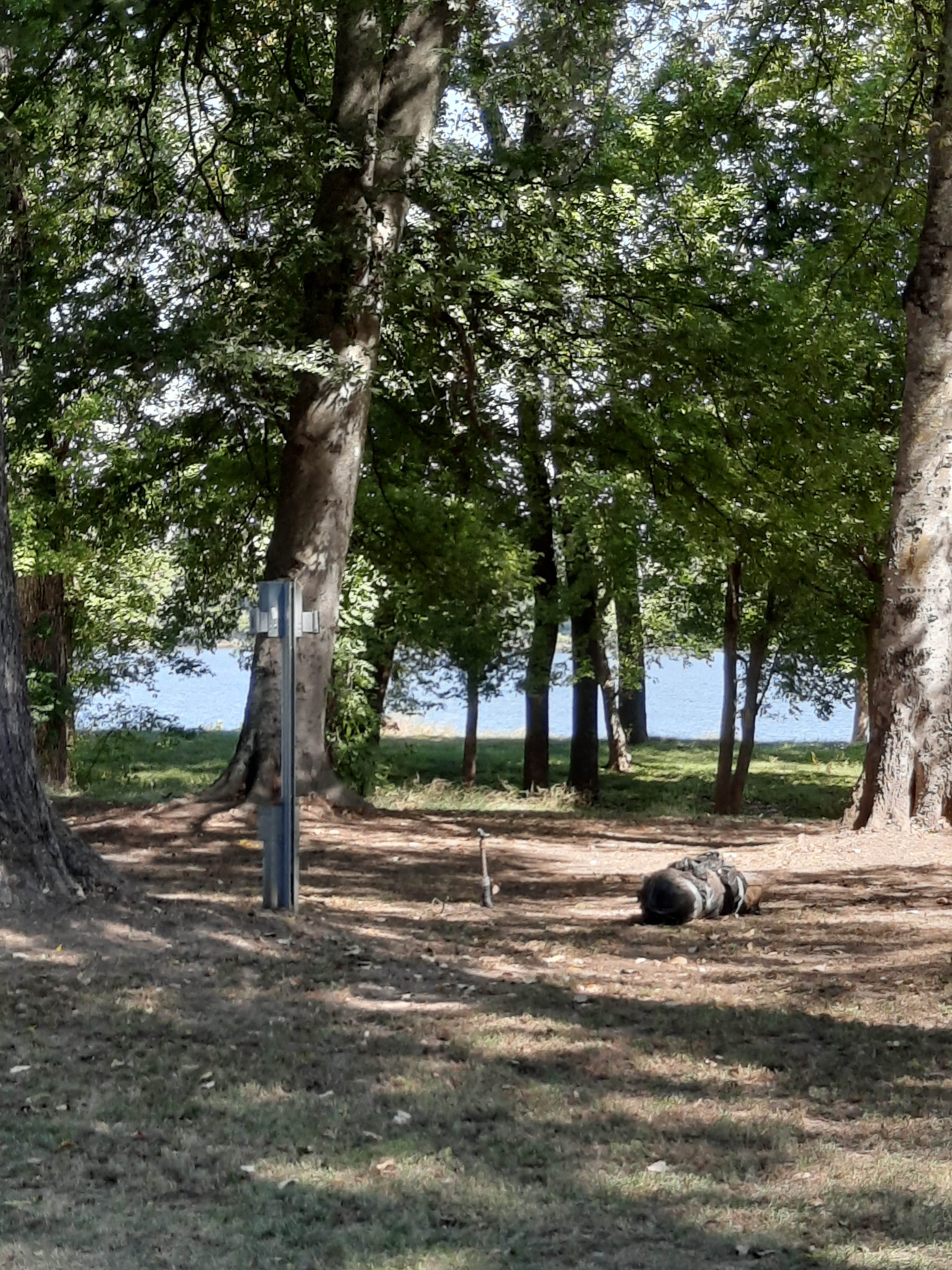 Camper-submitted photo at Saracen Trace RV Park - Pine Bluff Regional Park near Hensley, AR