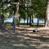 Review photo of Saracen Trace RV Park - Pine Bluff Regional Park by Steve S., October 8, 2022