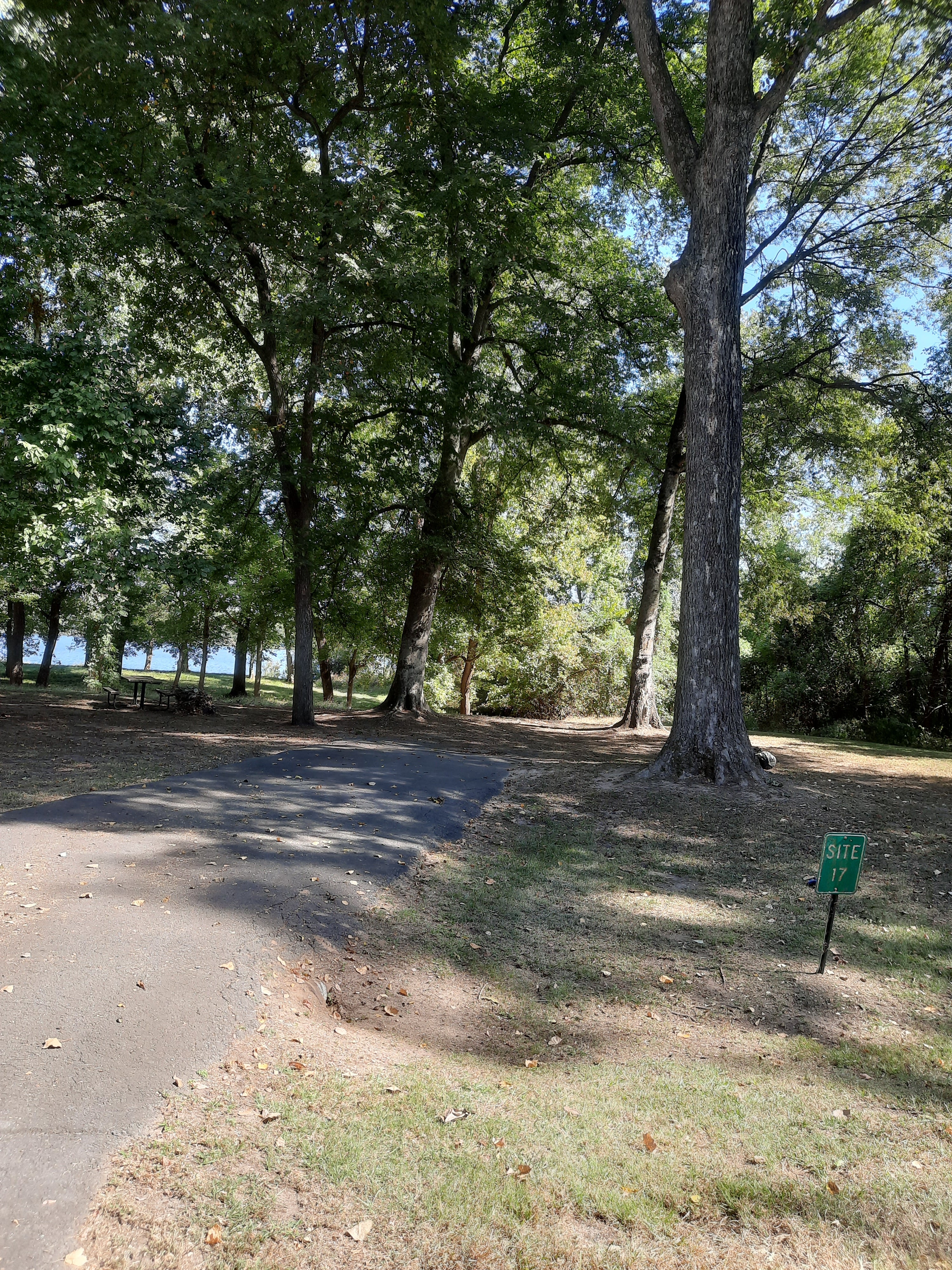 Camper submitted image from Saracen Trace RV Park - Pine Bluff Regional Park - 1