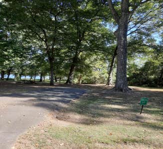 Camper-submitted photo from Saracen Trace RV Park - Pine Bluff Regional Park