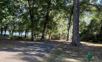 Camper-submitted photo from Saracen Trace RV Park - Pine Bluff Regional Park