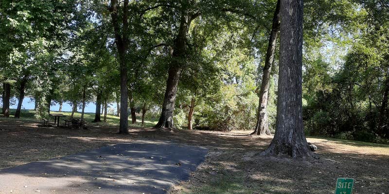 Camper submitted image from Saracen Trace RV Park - Pine Bluff Regional Park
