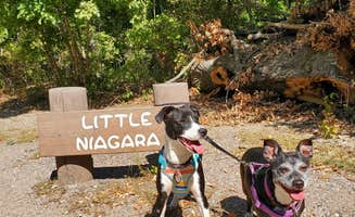Emily K.'s photo of camping with pets at Buckhorn Campground Loop C — Chickasaw National Recreation Area near Chickasaw National Recreation Area