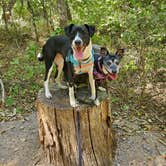 Review photo of Buckhorn Campground Loop C — Chickasaw National Recreation Area by Emily K., October 9, 2022