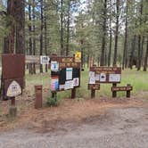 Review photo of Jemez Falls Campground by Emily K., October 9, 2022