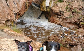 Emily K.'s photo of camping with pets at Jemez Falls Campground near Jemez Pueblo, NM