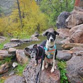 Review photo of Jemez Falls Campground by Emily K., October 9, 2022