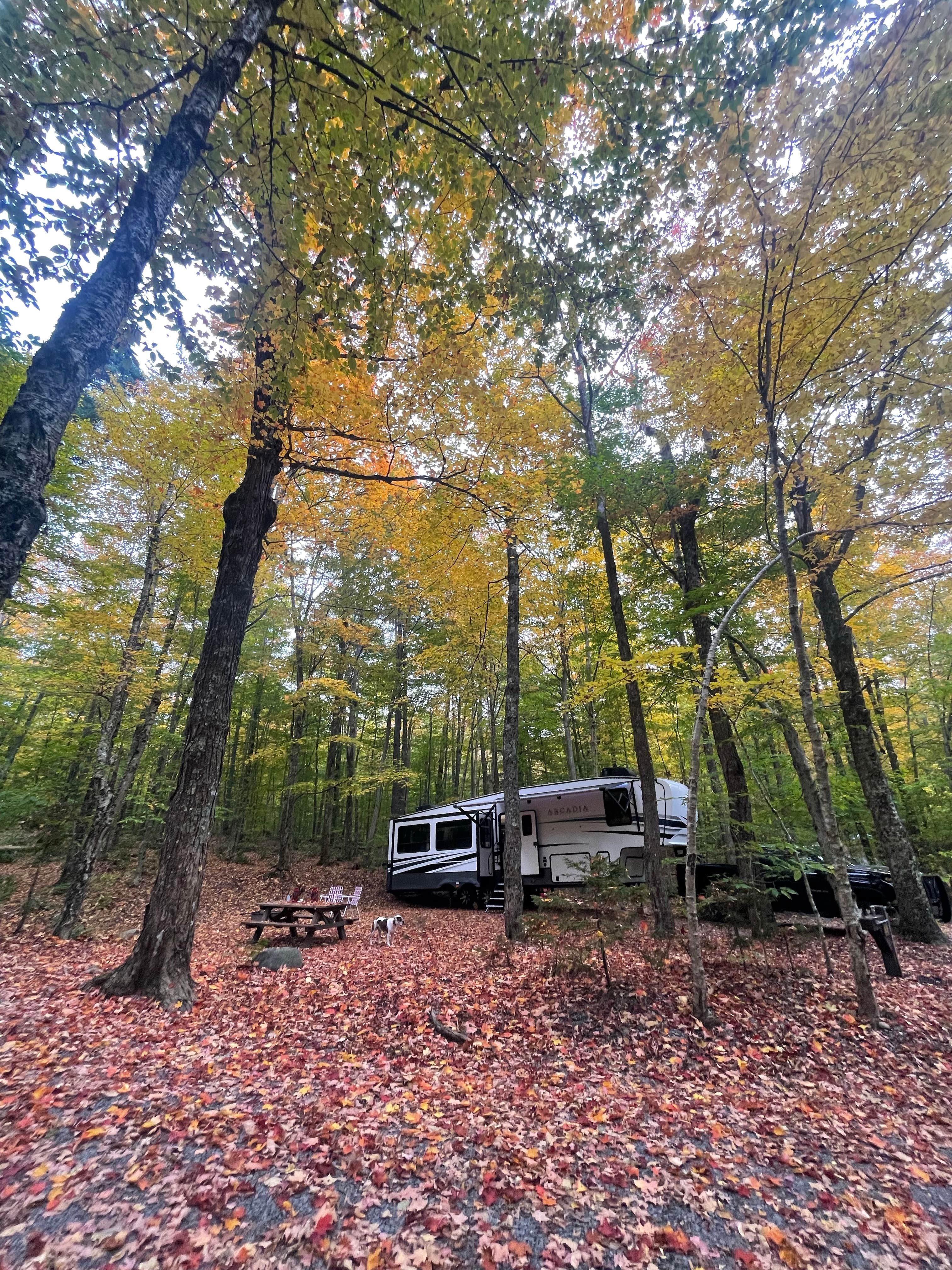 Bella S.'s photo of rv camping at Nicks Lake Campground near Eagle Bay, NY