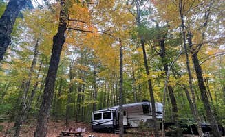 Bella S.'s photo of rv camping at Nicks Lake Campground near Woodgate, NY