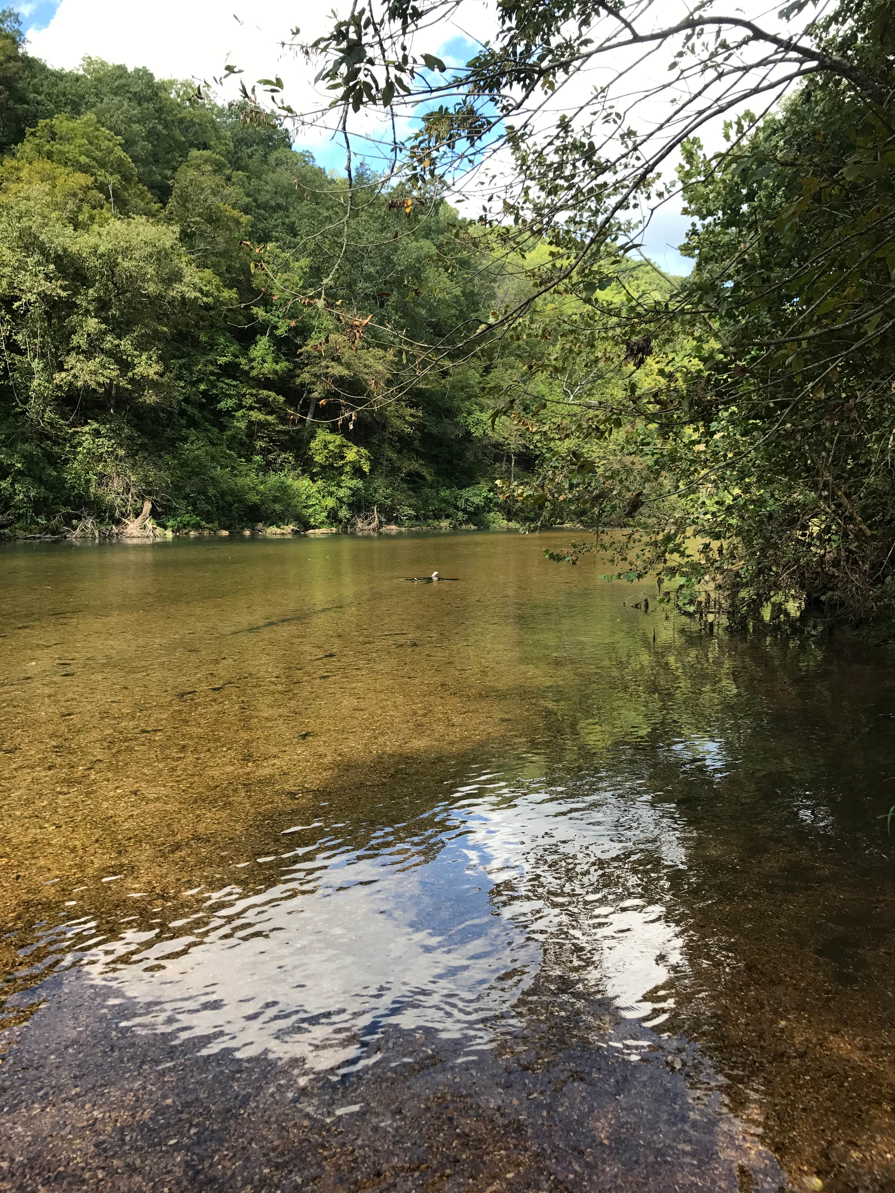 Camper submitted image from Akers Group Campground — Ozark National Scenic Riverway - 5