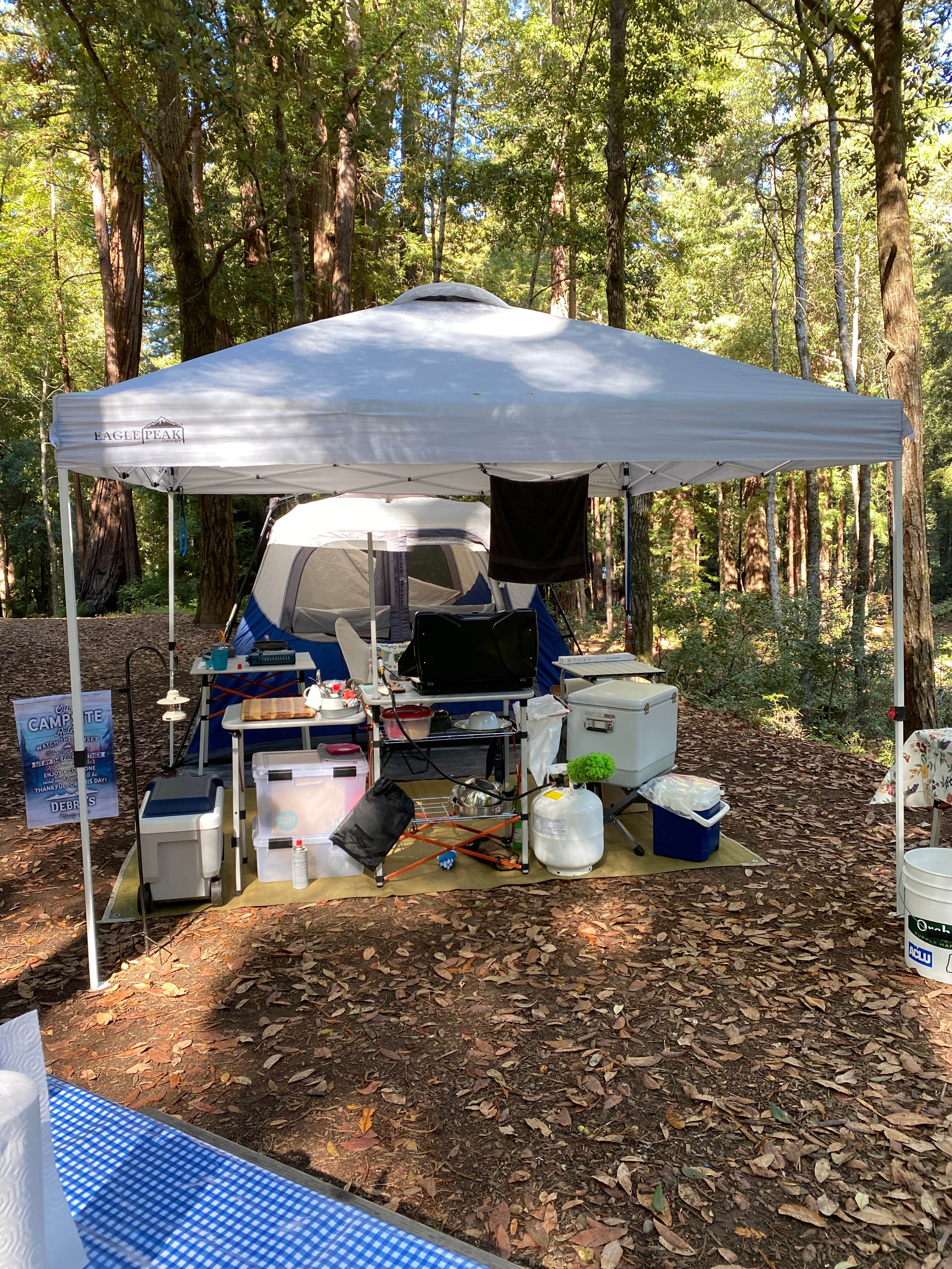 Julie B.'s photo at San Mateo Memorial Park near Union City, CA