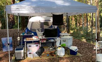 Julie B.'s photo at San Mateo Memorial Park near Union City, CA