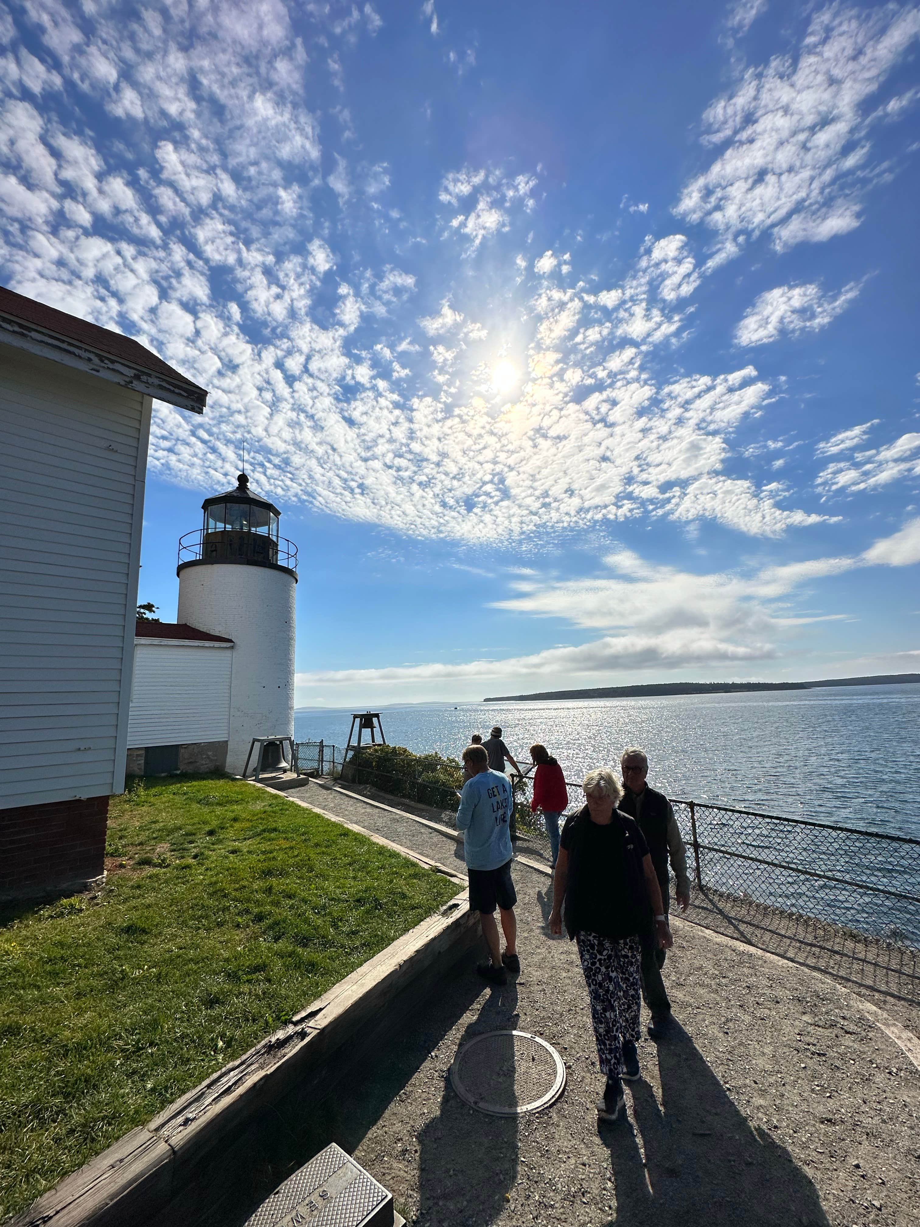 Camper submitted image from Bass Harbor Campground - 4