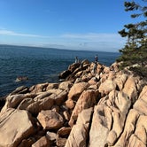 Review photo of Bass Harbor Campground by Brandon N., October 9, 2022