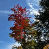 Review photo of Boulder Lake Chequamonegon National Forest by juliana , October 9, 2022