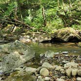 Review photo of Glade Creek Campground — New River Gorge National Park and Preserve by Amanda S., October 9, 2022