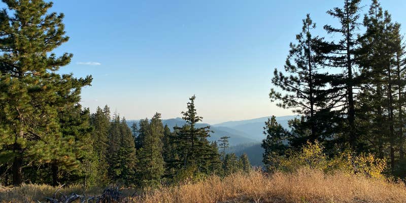 Camper submitted image from Old Bluett Pass Road Dispersed