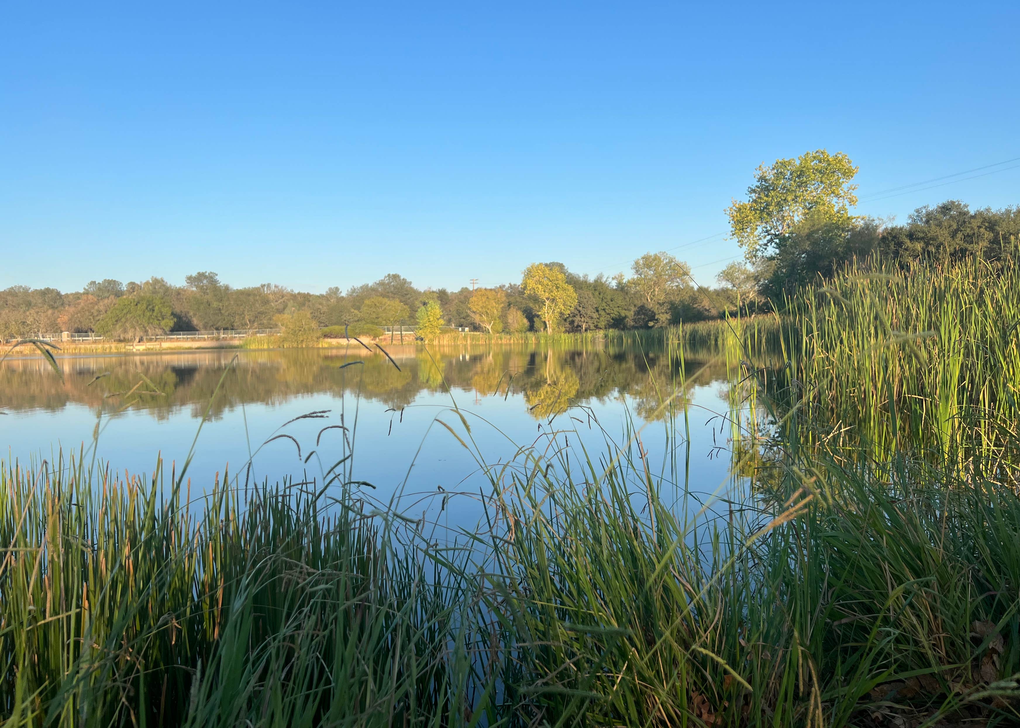 Monument RV Park Lake Camanche Camping The Dyrt