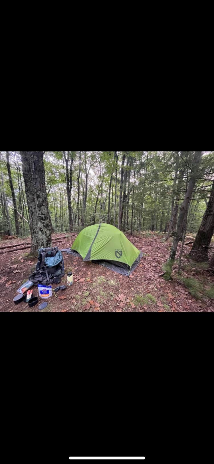 Alyson M.'s photo of tent camping at Manistee River Trail Dispersed Camping near Kingsley, MI