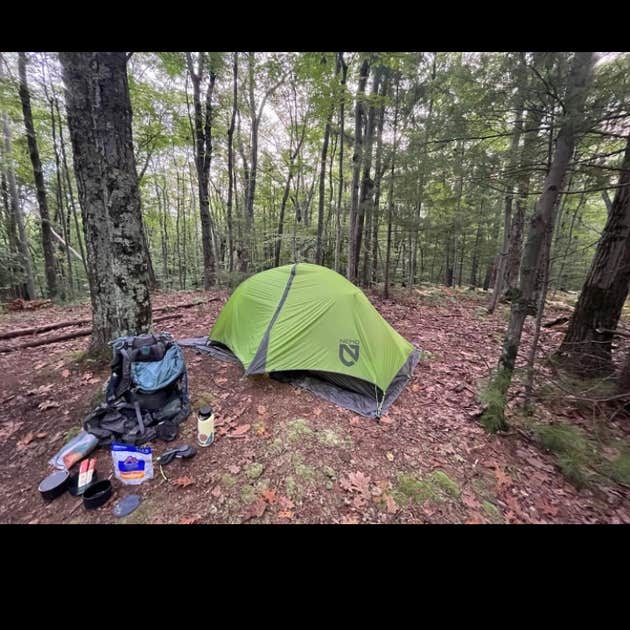 Manistee River Trail Dispersed Camping 