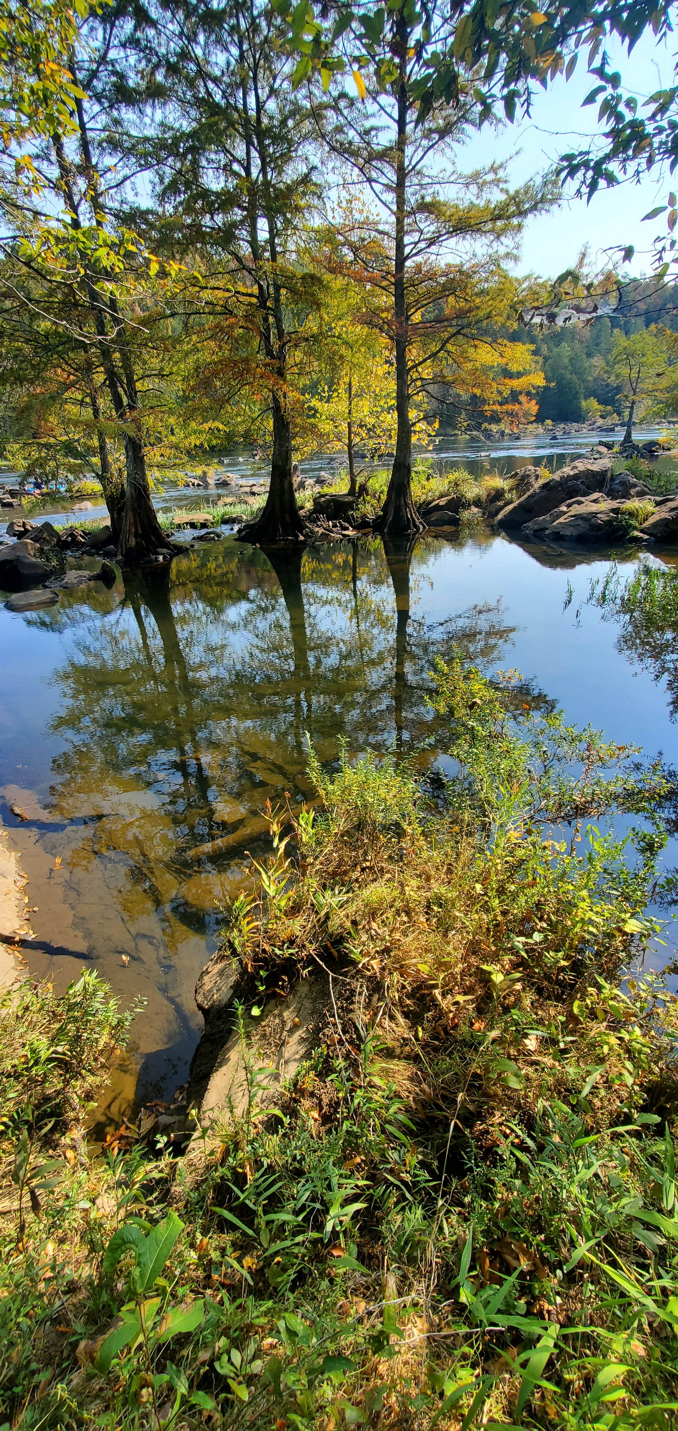 Camper-submitted photo at Mountain Fork Park near Eagletown, OK