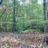 Review photo of Kings Mountain — Kings Mountain State Park by Kevin H., October 9, 2022