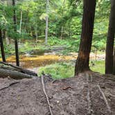 Review photo of Porcupine Mountains Backcountry Camping — Porcupine Mountains Wilderness State Park by Steph P., October 9, 2022