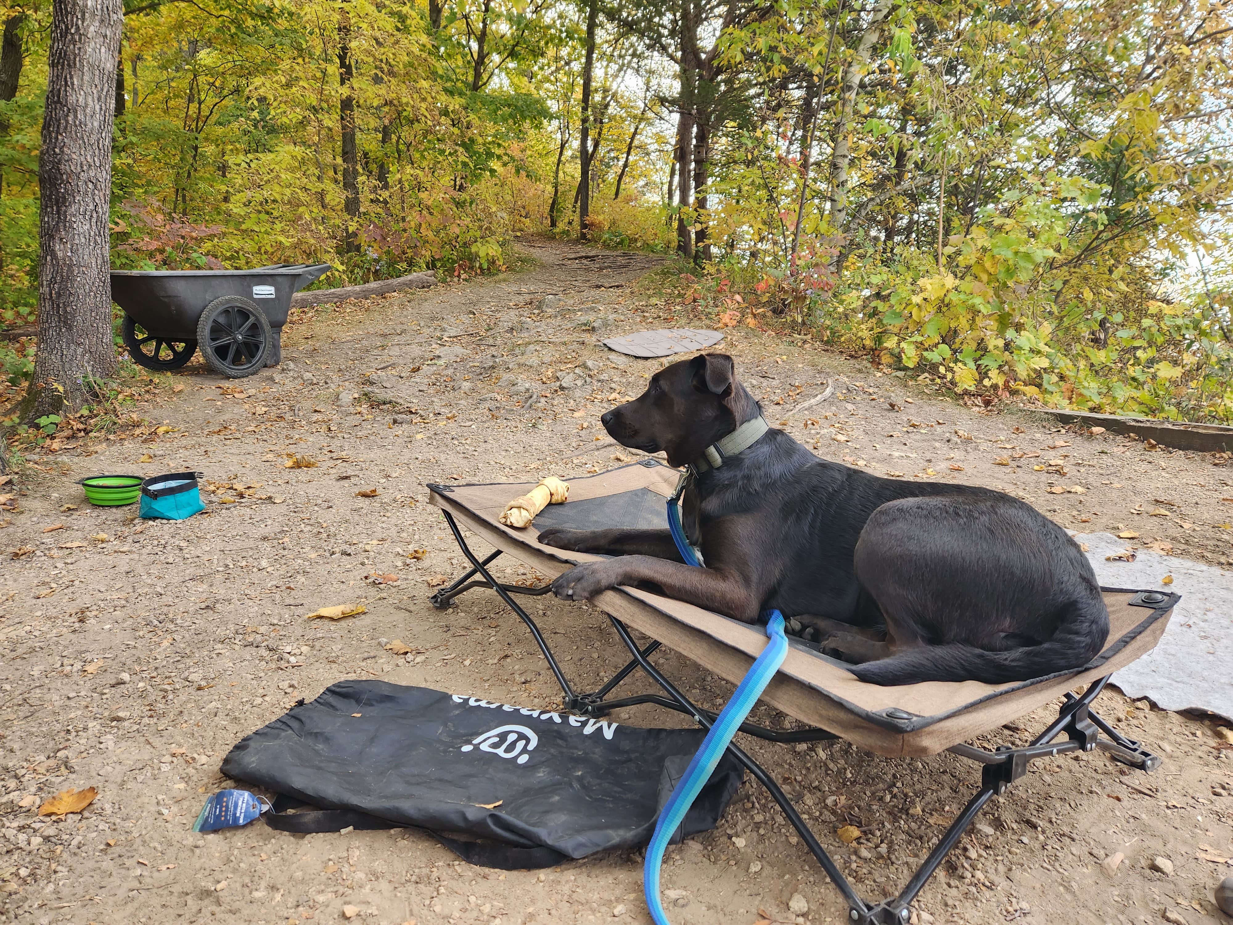 Steph P.'s photo of camping with pets at Nelson Dewey State Park Campground near Dyersville, IA