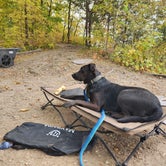 Review photo of Nelson Dewey State Park Campground by Steph P., October 9, 2022