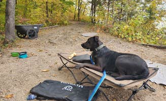 Steph P.'s photo of camping with pets at Nelson Dewey State Park Campground near Prairie du Chien, WI