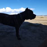 Review photo of BLM #174 Road Dispersed Camping by Wayne H., October 9, 2022