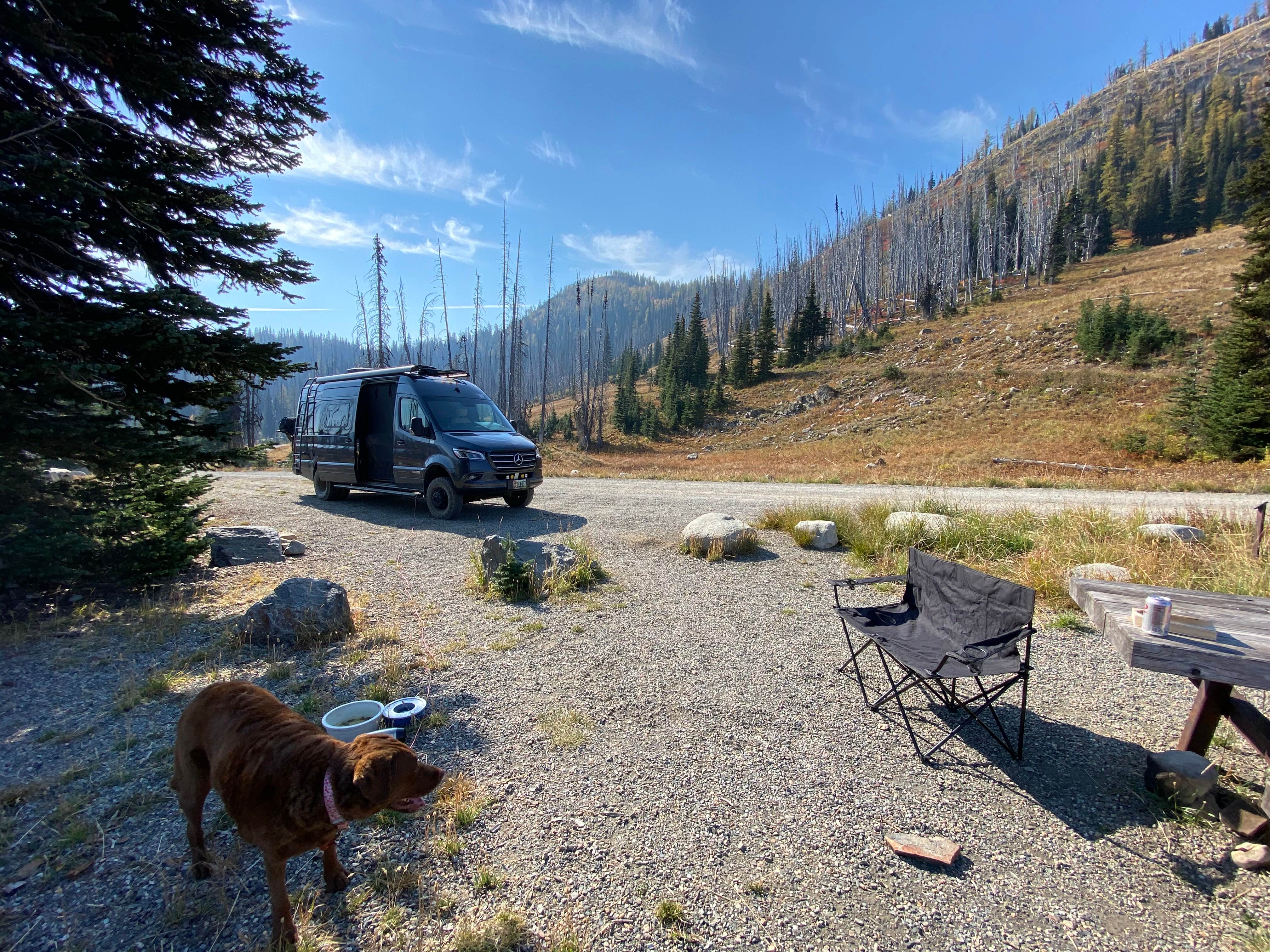 Cheryl M.'s photo of camping with pets at Meadows Campground near North Cascades National Park