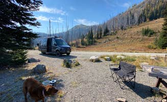 Cheryl M.'s photo of camping with pets at Meadows Campground near Lake Chelan National Recreation Area