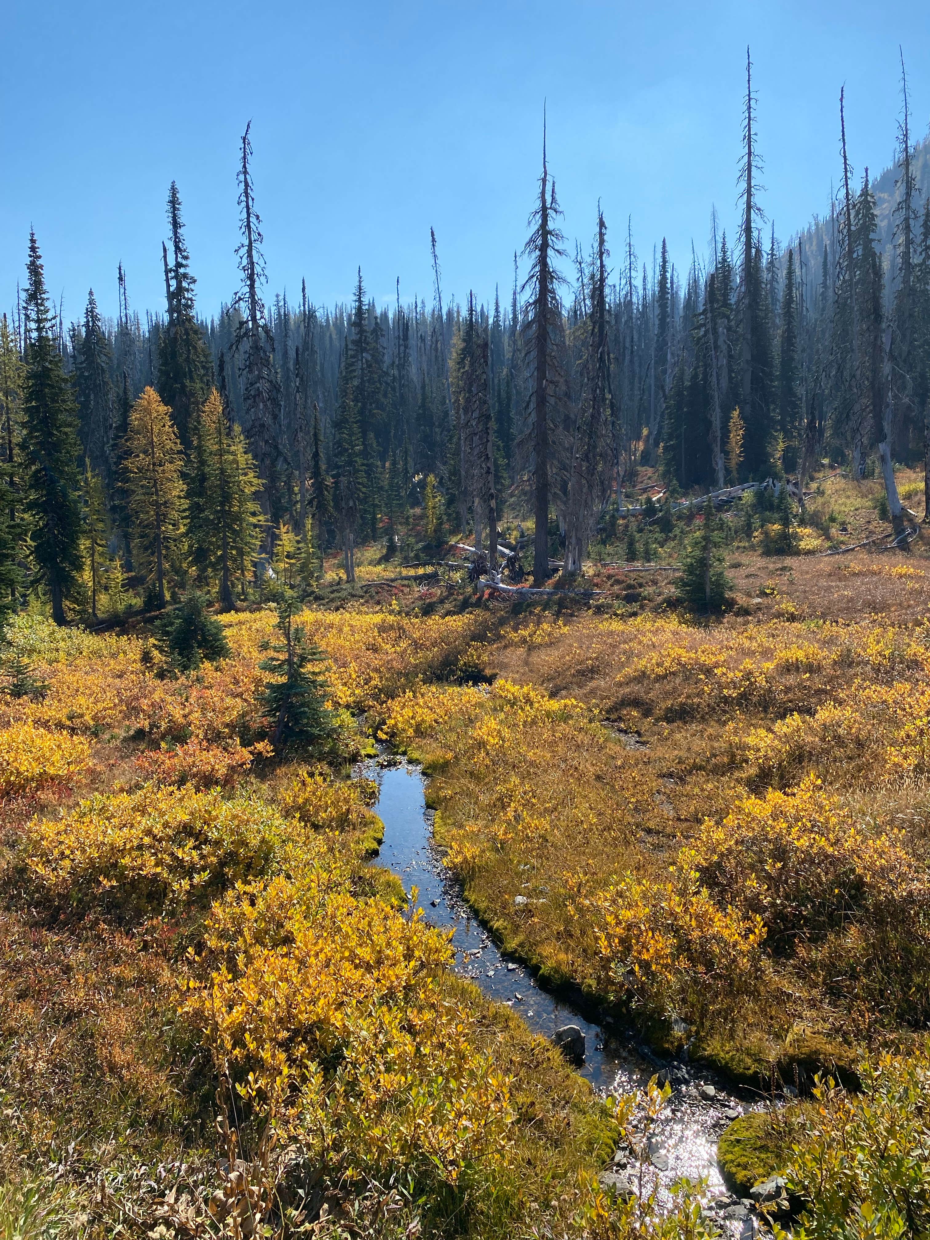 Camper-submitted photo at Meadows Campground near Mazama, WA