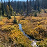 Review photo of Meadows Campground by Cheryl M., October 9, 2022