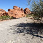 Review photo of Atlatl Rock Campground — Valley of Fire State Park by Laura M., October 9, 2022