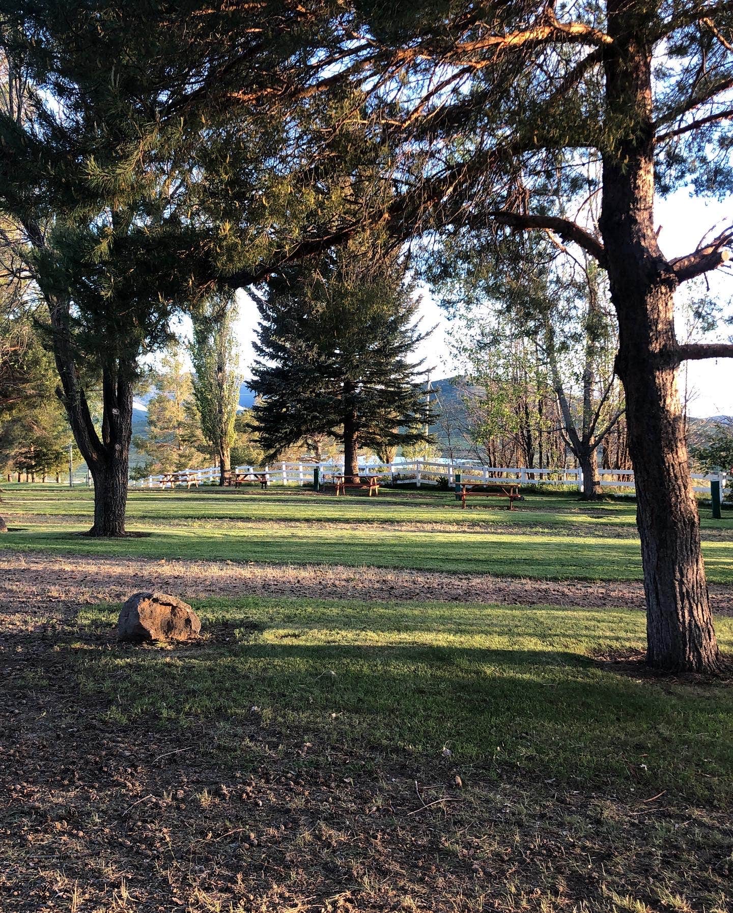 Camper-submitted photo at Trinity View Resort near Corral, ID