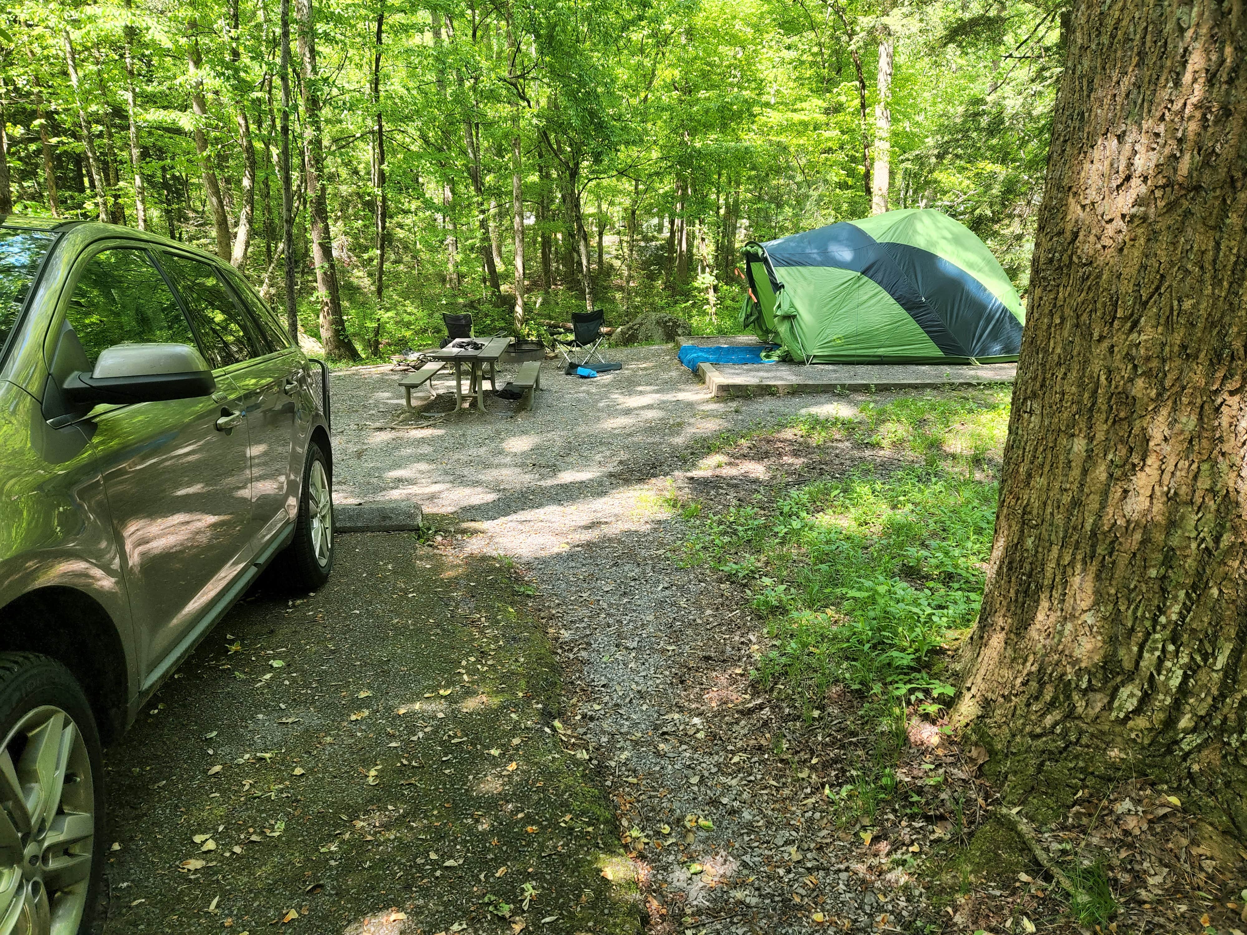Steph P.'s photo at Elkmont Campground — Great Smoky Mountains National Park near Gatlinburg, TN