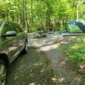 Review photo of Elkmont Campground — Great Smoky Mountains National Park by Steph P., October 9, 2022