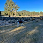 Review photo of Holcomb Valley Ranch by Francisco G., October 9, 2022