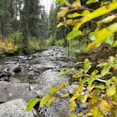 Review photo of Kennally Creek by Max R., October 9, 2022