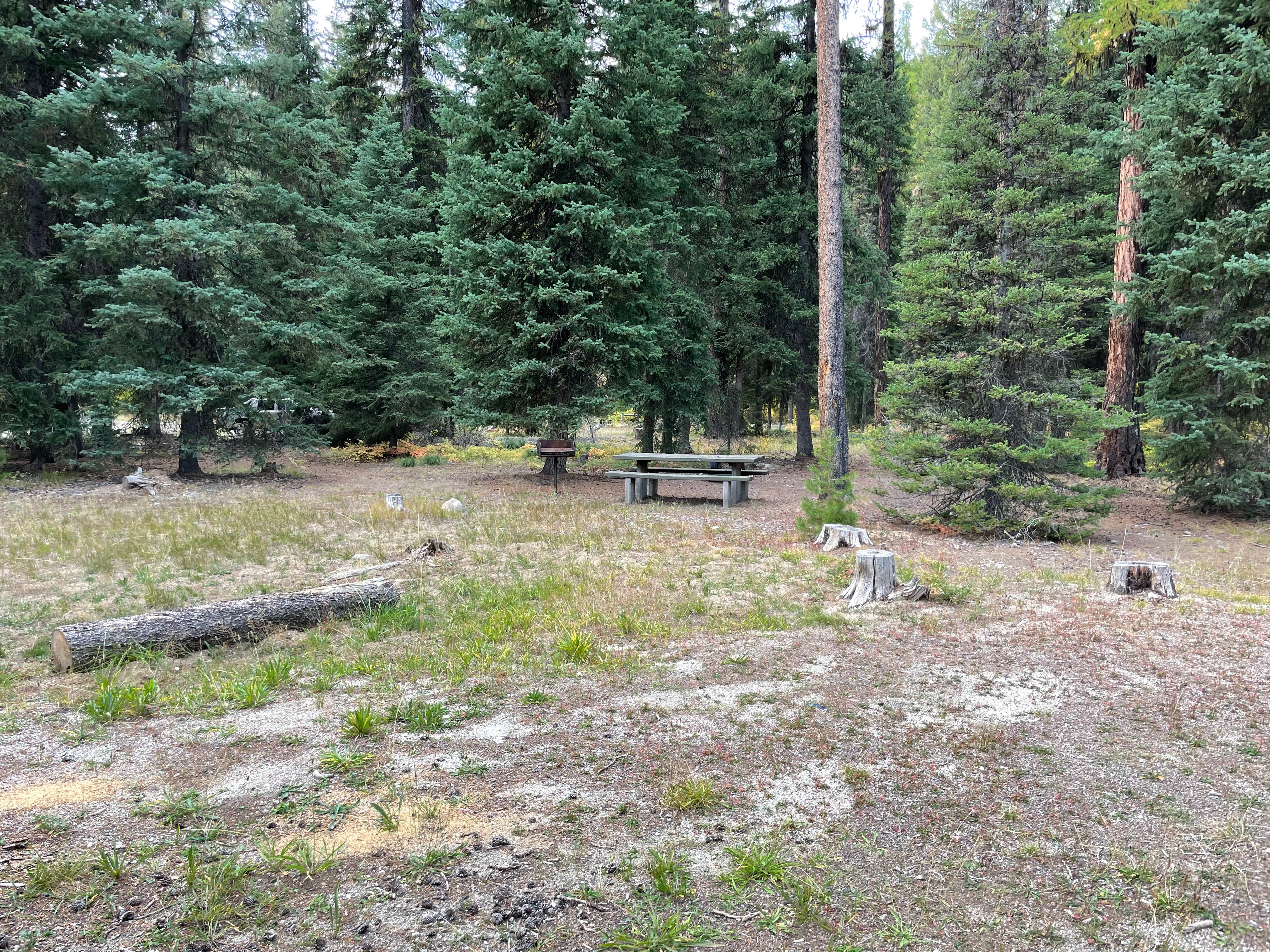 Camper-submitted photo at Kennally Creek near Cascade, ID